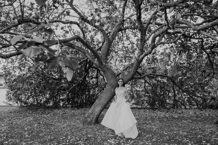 Noosa Waterfront wedding _ Noosa wedding _ Simon Coulson _ The Bride's Tree