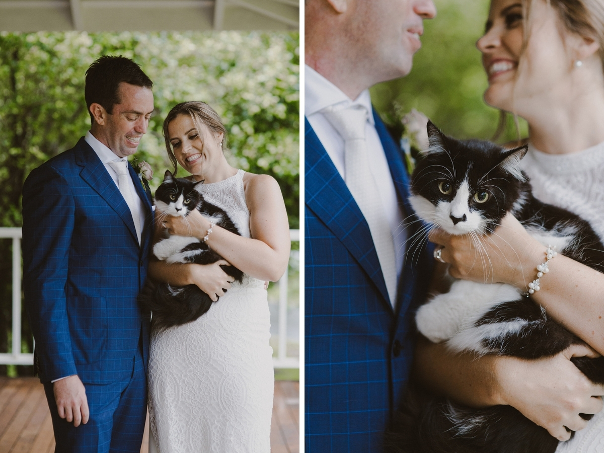 Cat at Wedding Sunshine Coast