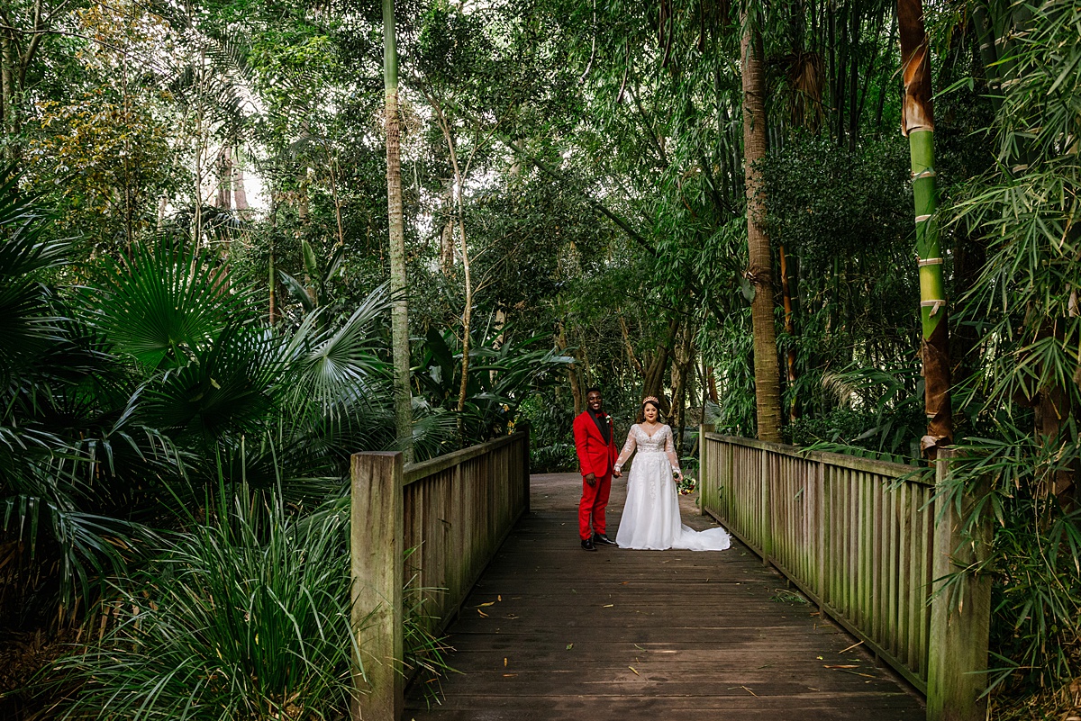 wedding at australia zoo _ animal lover wedding sunshine coast