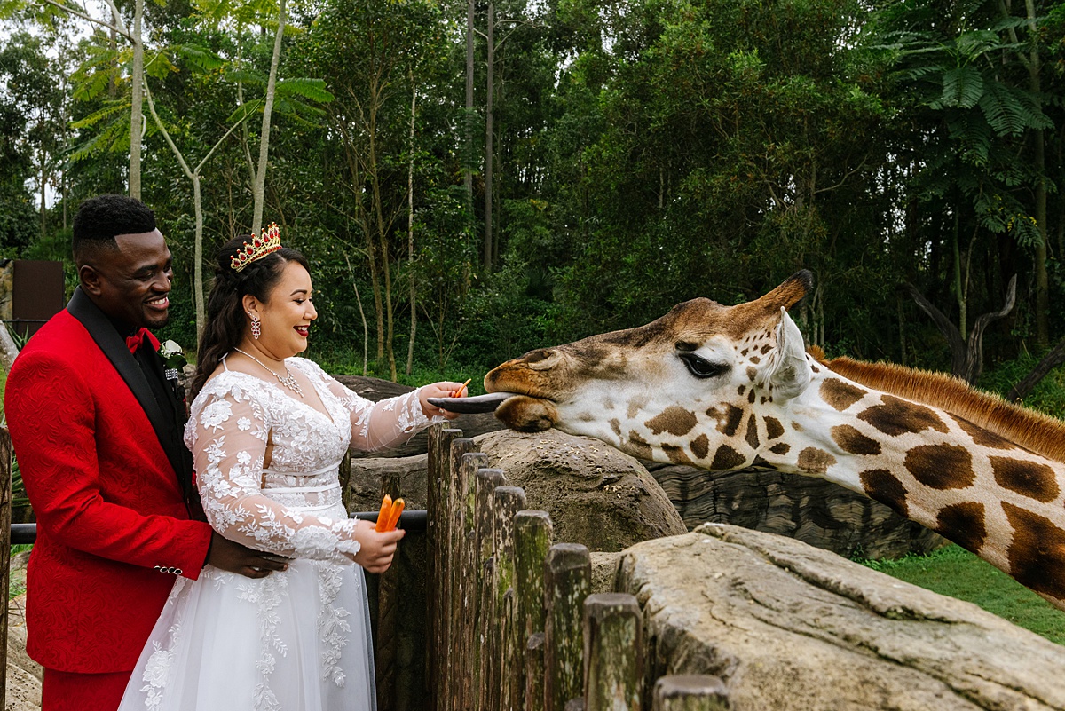 wedding at australia zoo _ animal lover wedding sunshine coast