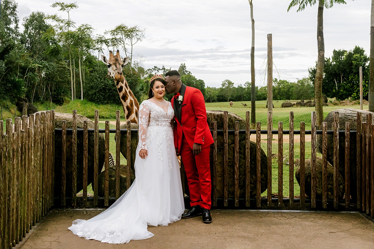 wedding at australia zoo _ animal lover wedding sunshine coast