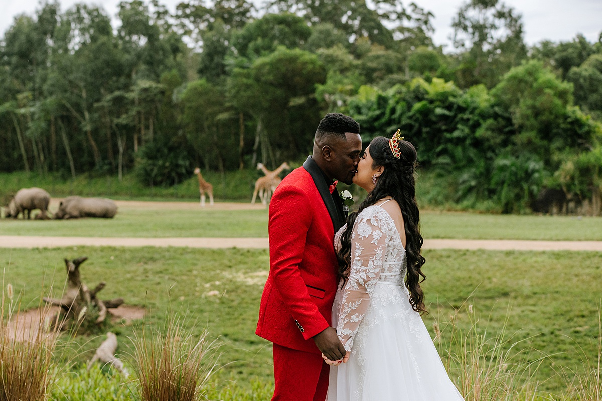 wedding at australia zoo _ animal lover wedding sunshine coast