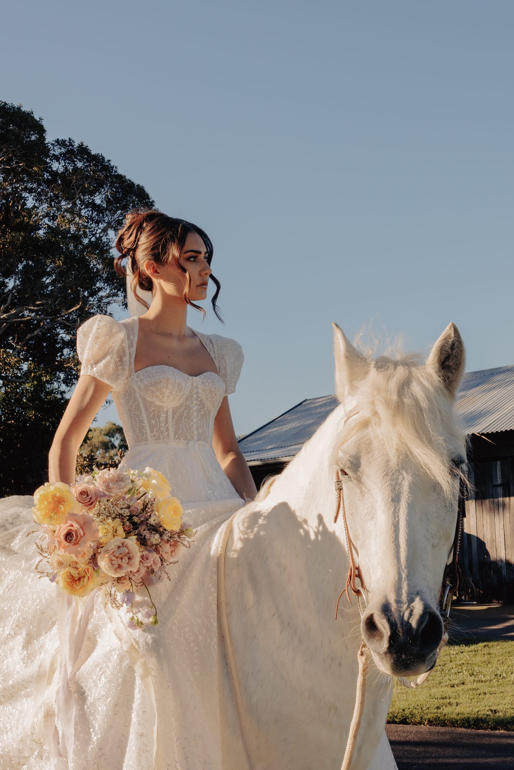 bride on white horse at Yandina Station wedding venue