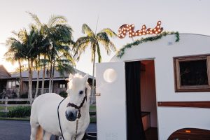Elmo the horse at Peninsula Pop Ups photo booth vintage caravan photo booth sunshine coast